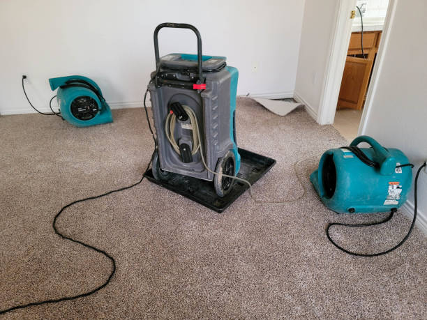 Best Water damage restoration services  in Schuylerville, NY